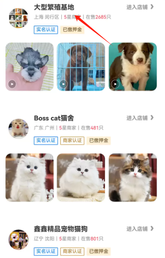 宠物宝app官方版
