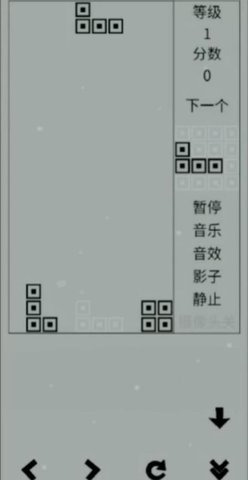 经典俄罗斯方块黑白版游戏图片4
