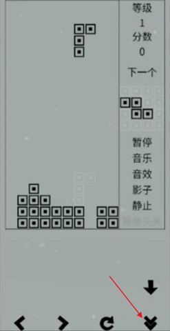 经典俄罗斯方块黑白版游戏图片7