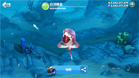 相关图片