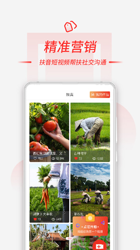 相关图片