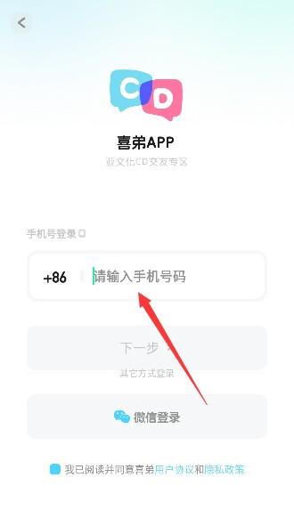 喜弟CD官方正版